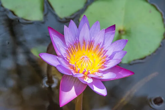 联系幸运28攻略网